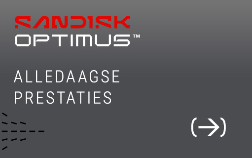 Sandisk - Alledaagse Prestaties